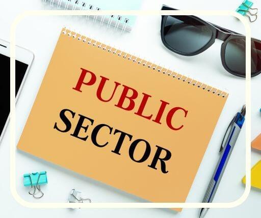 Public Sector