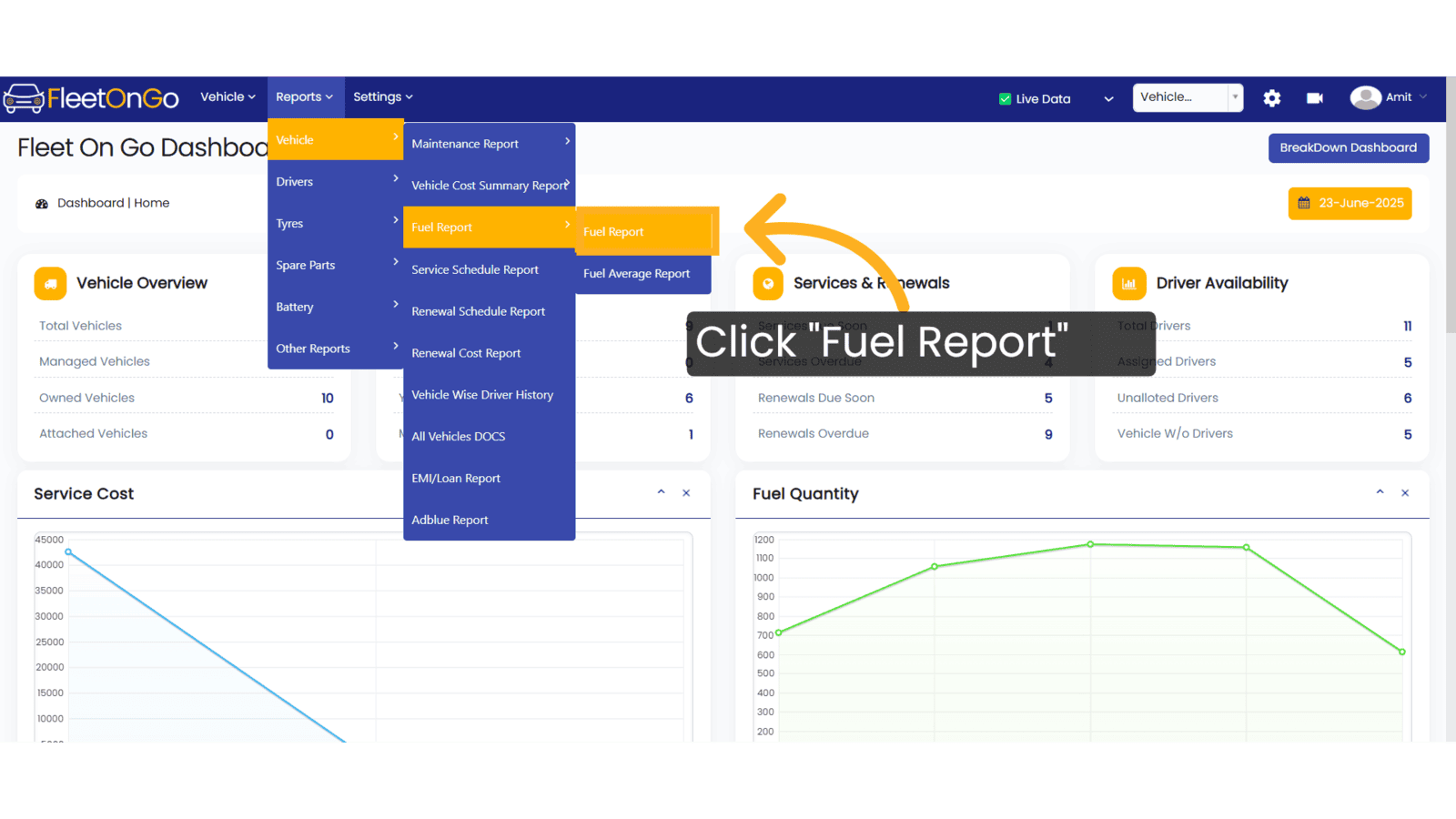 Click 'Fuel Report'