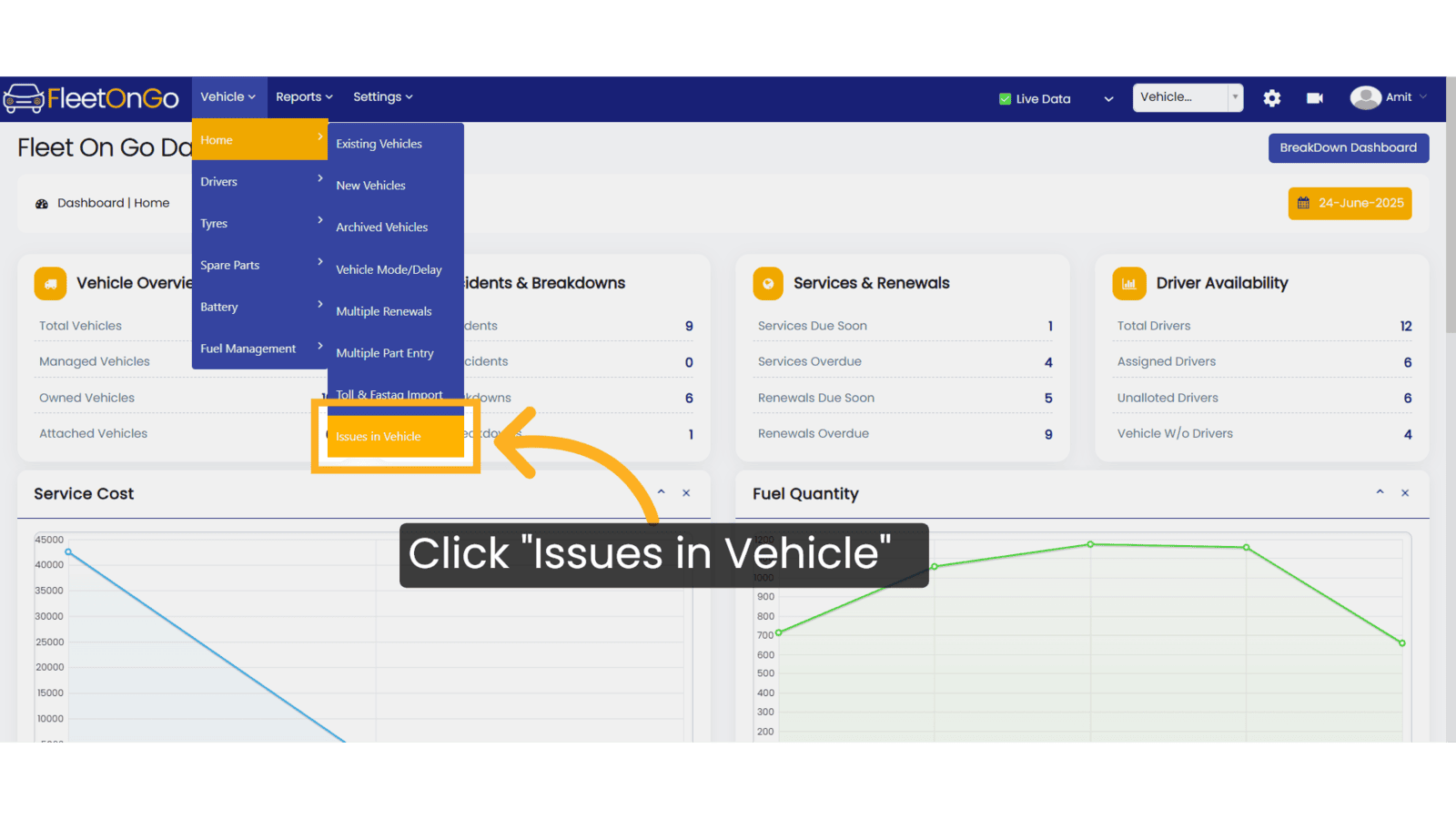 Click 'Issues in Vehicle'