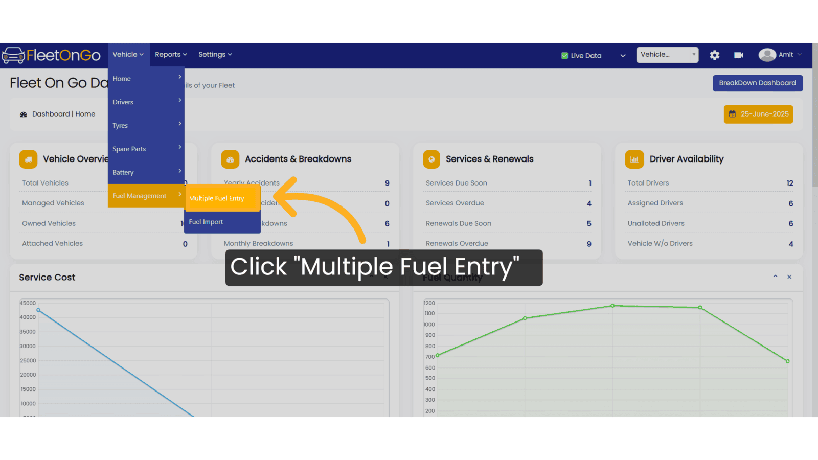 Click 'Multiple Fuel Entry'