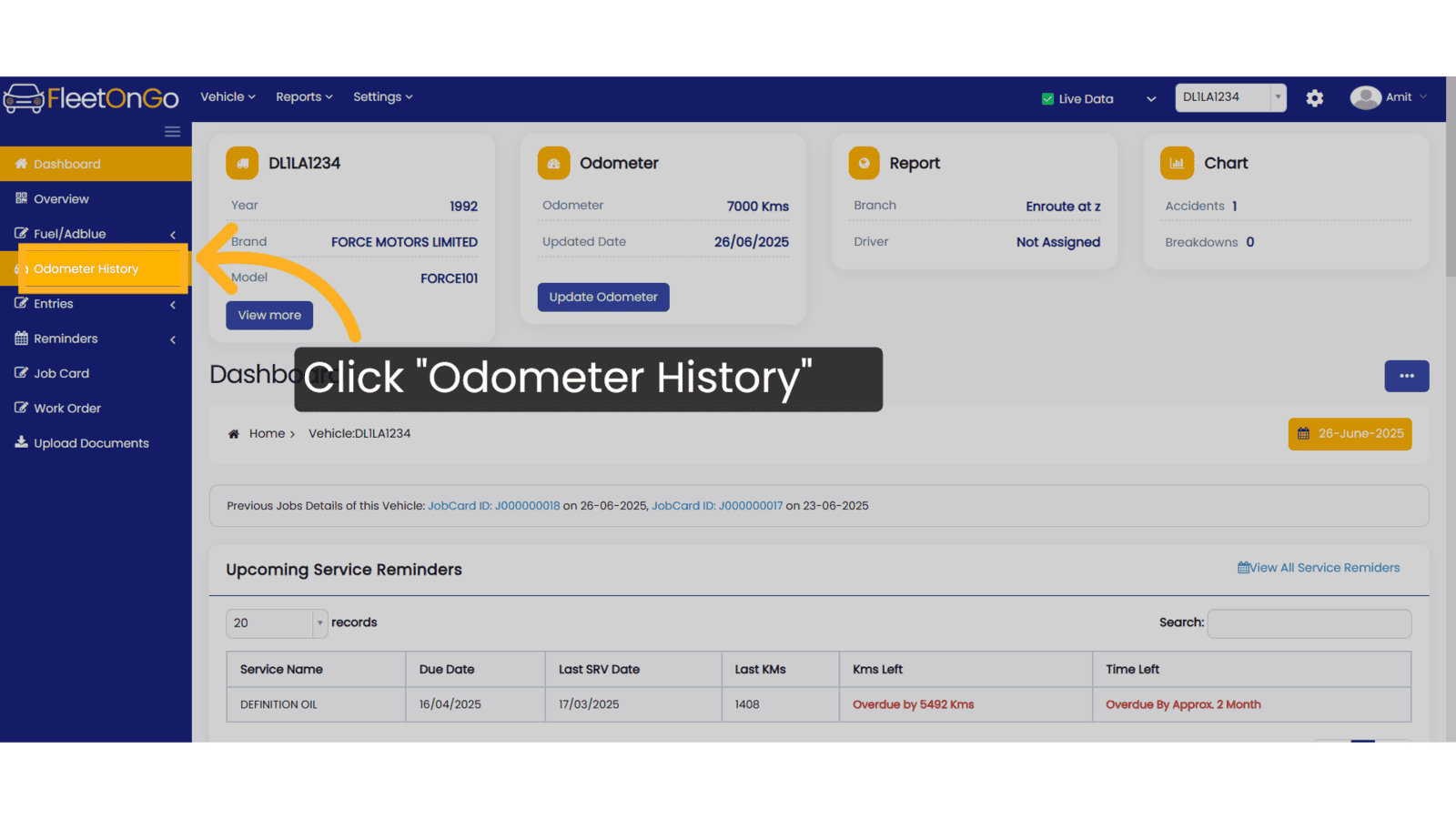 Click 'Odometer History'