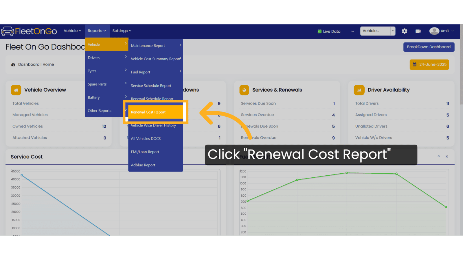 Click 'Renewal Cost Report'