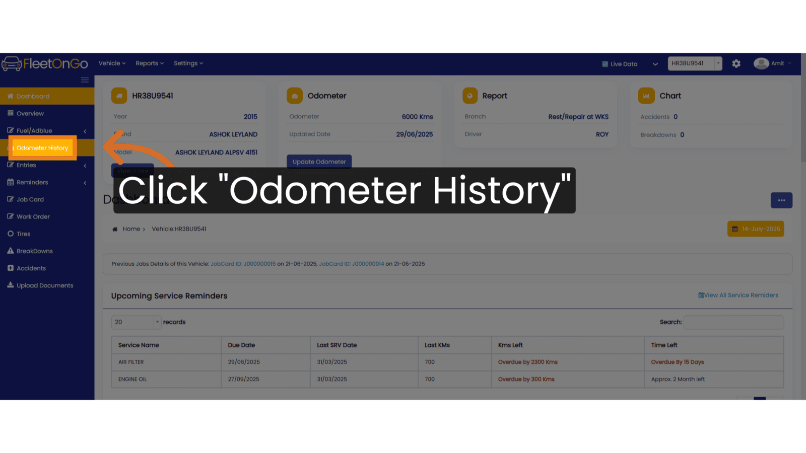 Click 'Odometer History'