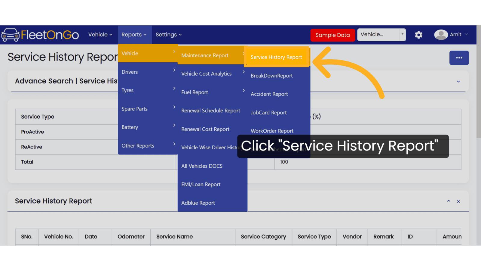 Click 'Service History Report'