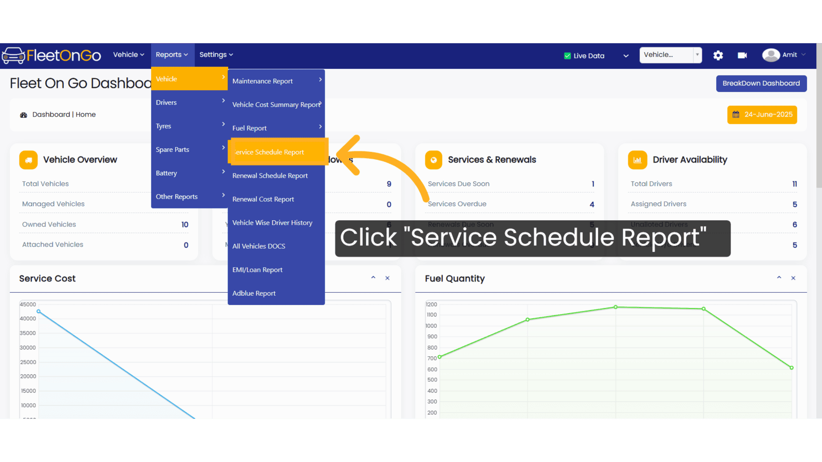 Click 'Service Schedule Report'