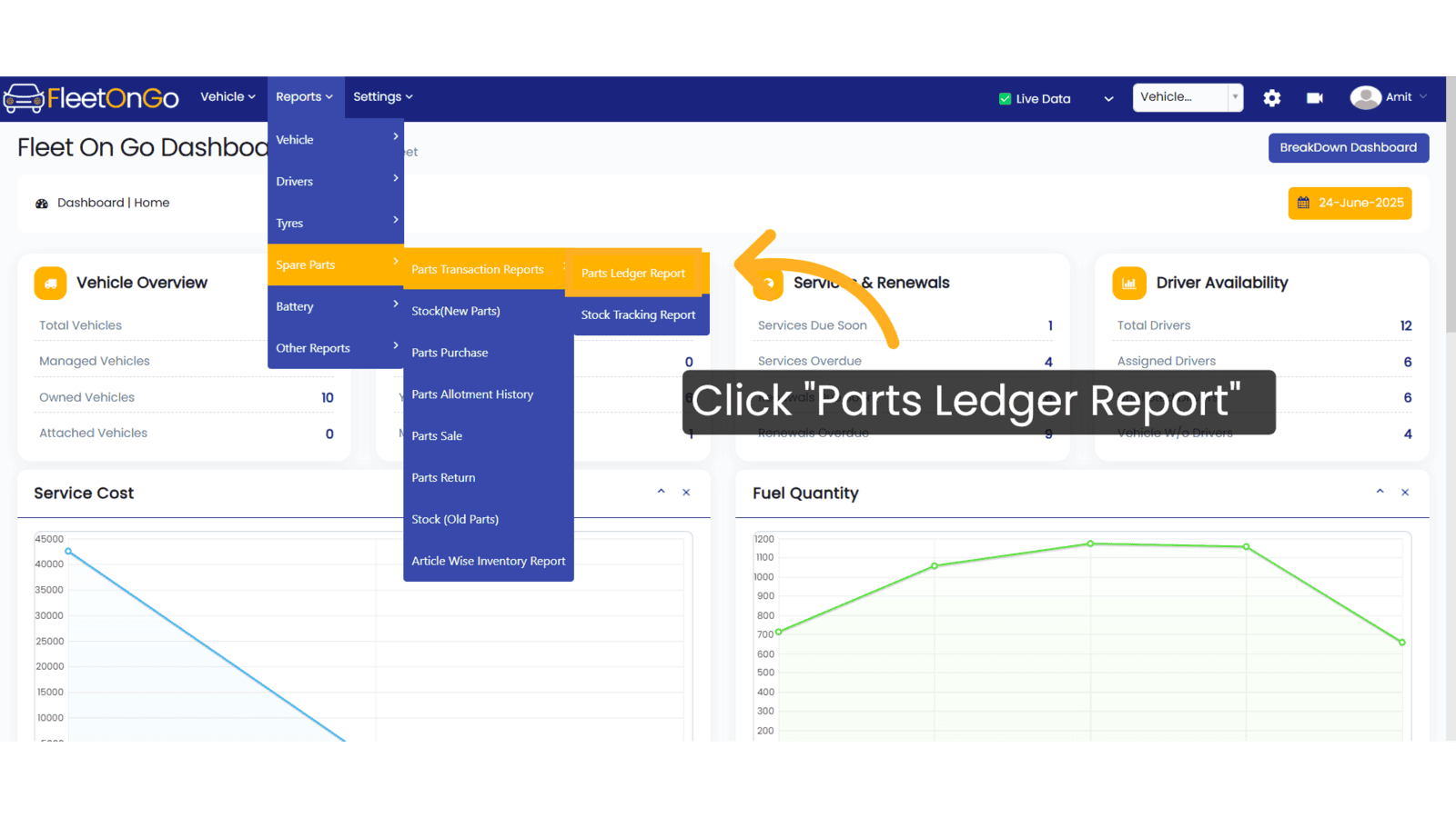 Click 'Parts Ledger Report'